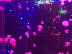 -深圳龙华星河COCO City(民治店)