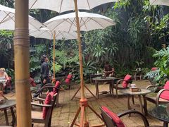 -Fern Forest Cafe