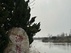 -大港湿地公园