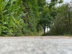 -深圳湾公园(南山区)
