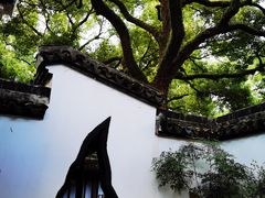 -上海醉白池公园