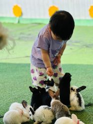 -萌宠亲子动物乐园(槐房万达店)