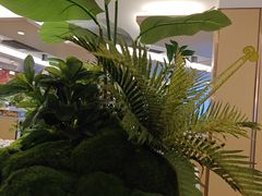 -海底捞火锅(旭辉MALL店)