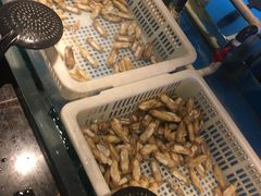 -星伦多自助料理·涮烤一体(虹悦城店)