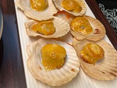 -黑松白鹿(金融街店)