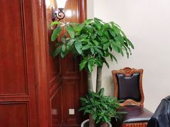 -梦都海鲜酒家(万达广场江桥店)