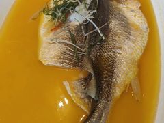 -至尊鲨鱼·原烹海鲜·新浙菜(拱宸桥店)
