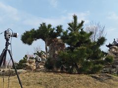 -武汉紫薇都市田园
