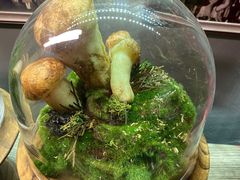 -原牛道·潮汕围炉火锅(讯美店)