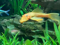 -太平洋海底世界