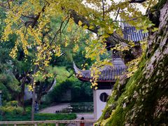 -惠山古镇·寄畅园