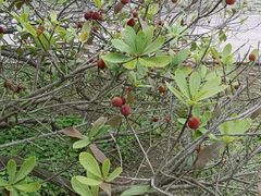 -宝岩生态观光园