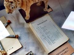 -北京动物园-畅观楼