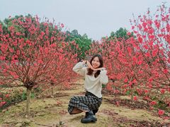 -南国桃园旅游度假区