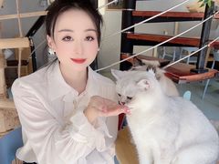 -豆逗聊愈猫阁Easy Life