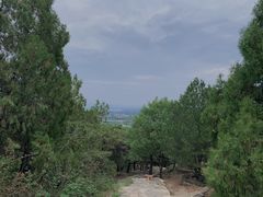-北京鹫峰国家森林公园
