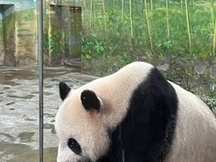 -上海野生动物园