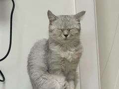 -蘩楼(南京西路中信泰富店)