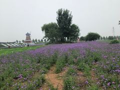 -君乐宝优致牧场