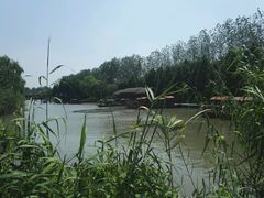 -溱湖国家湿地公园