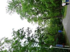 景点-顺鑫绿色度假村