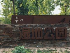 -东郊湿地公园