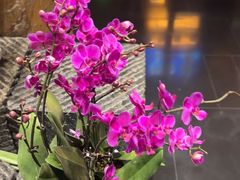 -黔蘑菇四季餐厅(观山湖店)