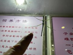 -上海昆虫博物馆