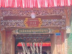 -塔尔寺-菩提树