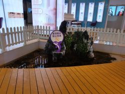 -安徽合肥韩美整形外科医院