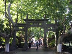 -杭州黄龙洞