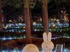 -月坛公园