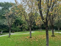 -成都安仁福朋喜来登酒店