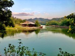-香山湖公园