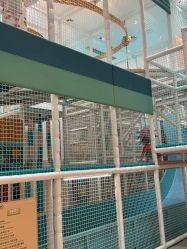 -奈尔宝家庭中心·亲子餐厅(鄞州万达店)