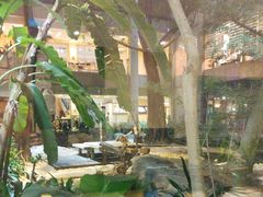 -白虎自助餐厅·真老虎·景观自助餐厅(广州长隆酒店)