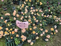 -人民公园(罗湖区)