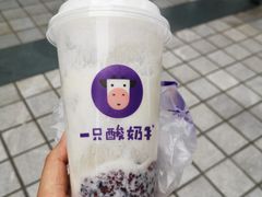 -一只酸奶牛(八一路店)