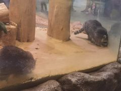 -正佳雨林生态植物园