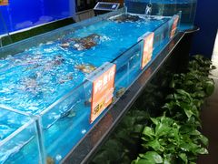 水产区-眉州东坡(博雅店)