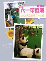 -可可天空农场(中大店)
