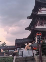 -Zoolung Zoolung动物主题公园(海信广场店)