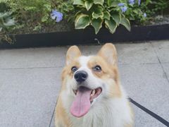 -一叶觅山(半边街店)