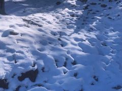 -硗碛藏寨·神木垒景区