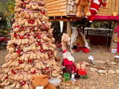 -HERRE·FARM 赫尔露营农场·团建聚会包场