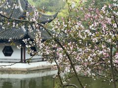 -西园寺