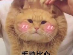 -树夏(建设路店)