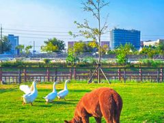 -栖露营camping·天幕烧烤·团建拓展·采摘营地