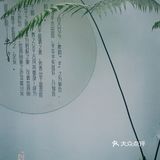 还未开业半份情——半分青试营业探店