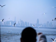 -东湖落雁景区